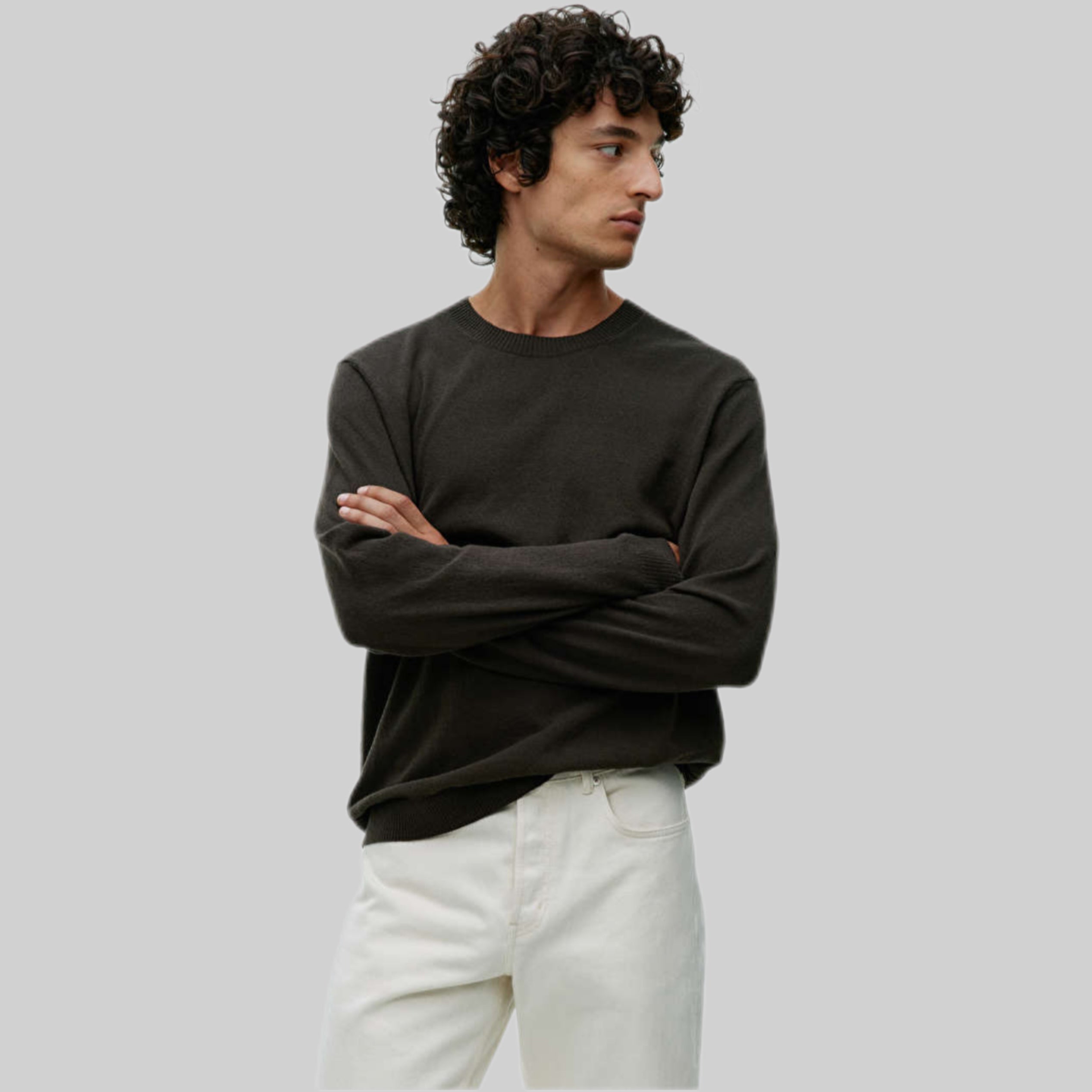 Arket jumper, men, frontside, brown, model